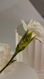 Топ "TRIGON CRYSTAL"