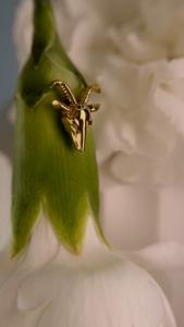 Топ "BAPHOMET GOLD"